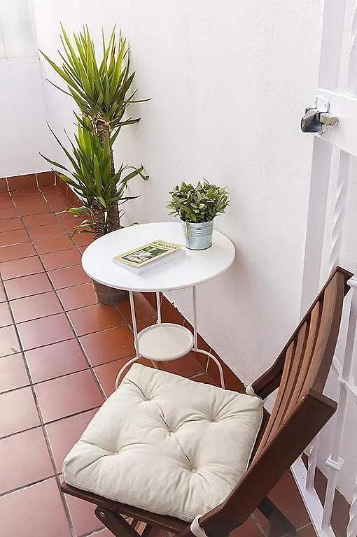 Genteel Home Catedral Terrace Seville Spain